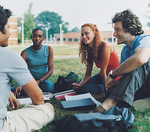 Study Group on the Grass