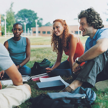 Study Group on the Grass