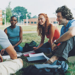 Study Group on the Grass