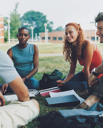 Study Group on the Grass