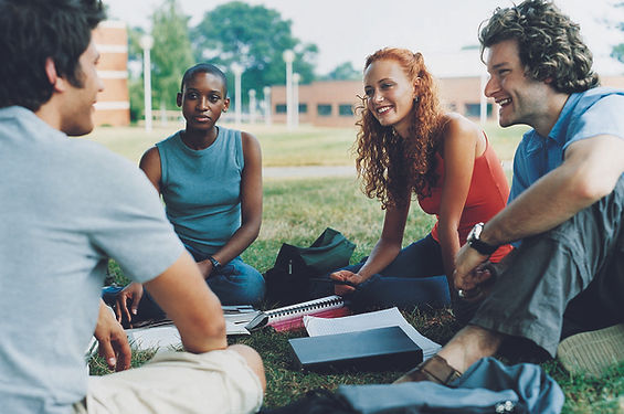 Study Group on the Grass