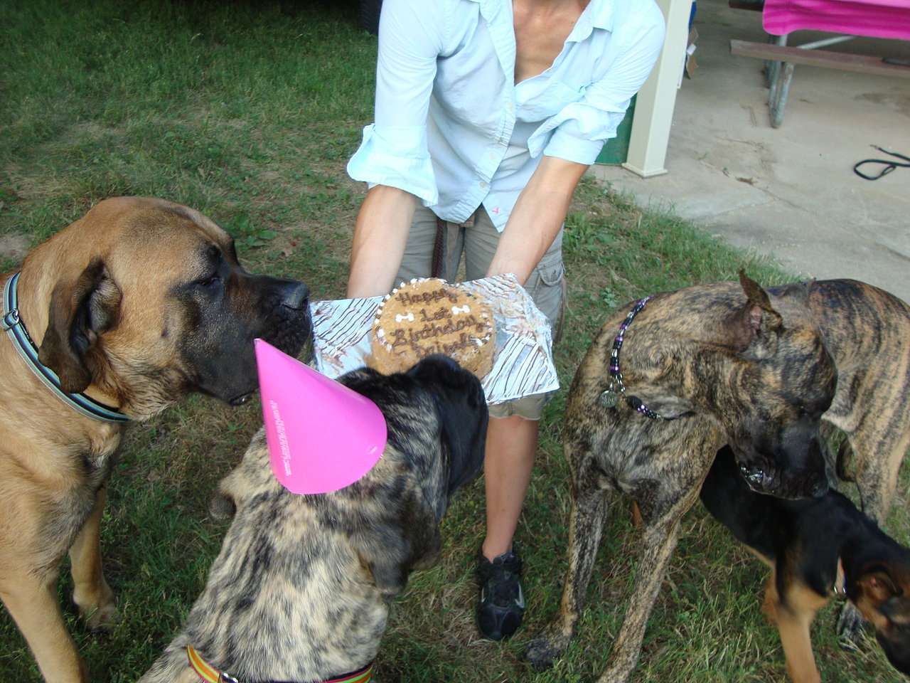 Boone, Brinkley & Drizzle