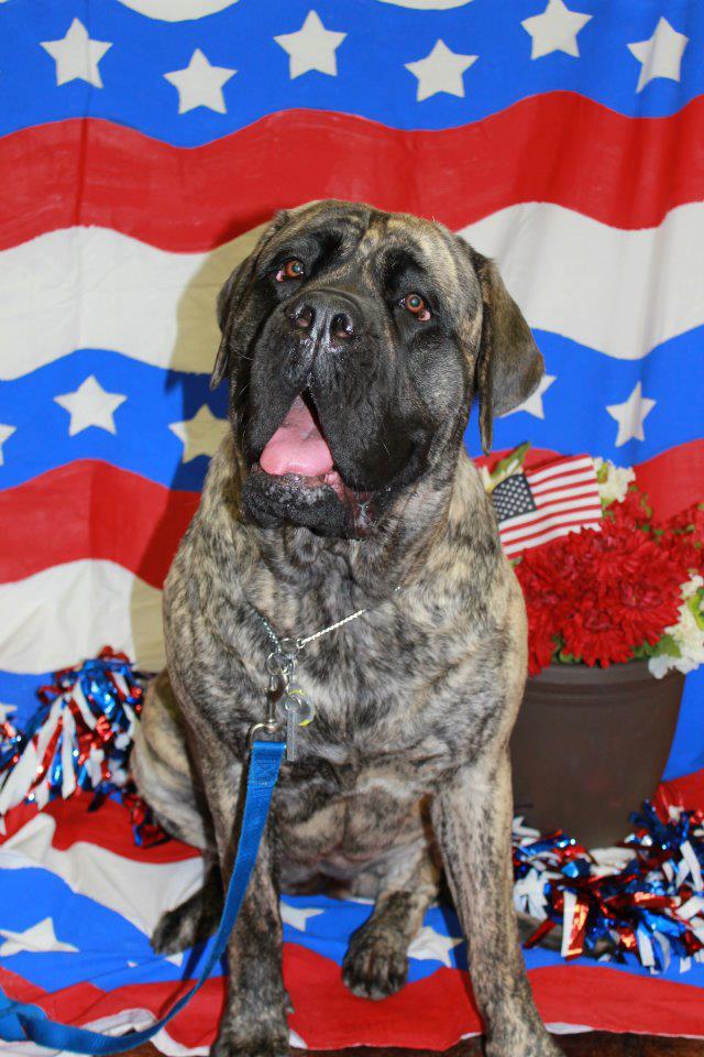 Brinkley Independence Day 2012