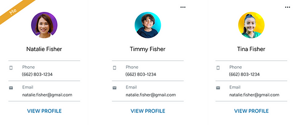 profile cards-old.png