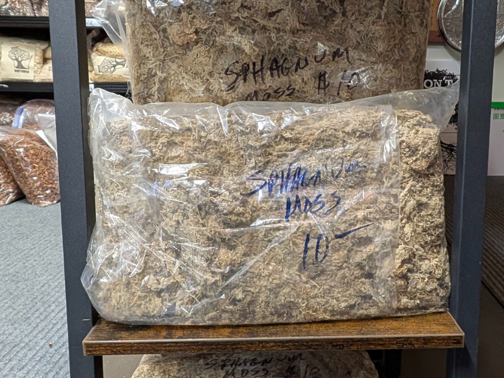 Thumbnail: WISCO GOLD SUBSTRATE AND OTHER MEDIUM