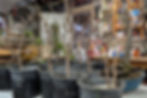 Thumbnail: TREES TREES TREES