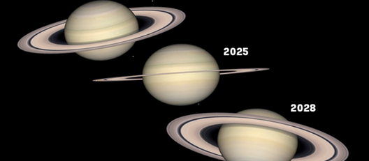 What’s Up Above? November Stargazing
