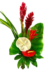 casa madinina