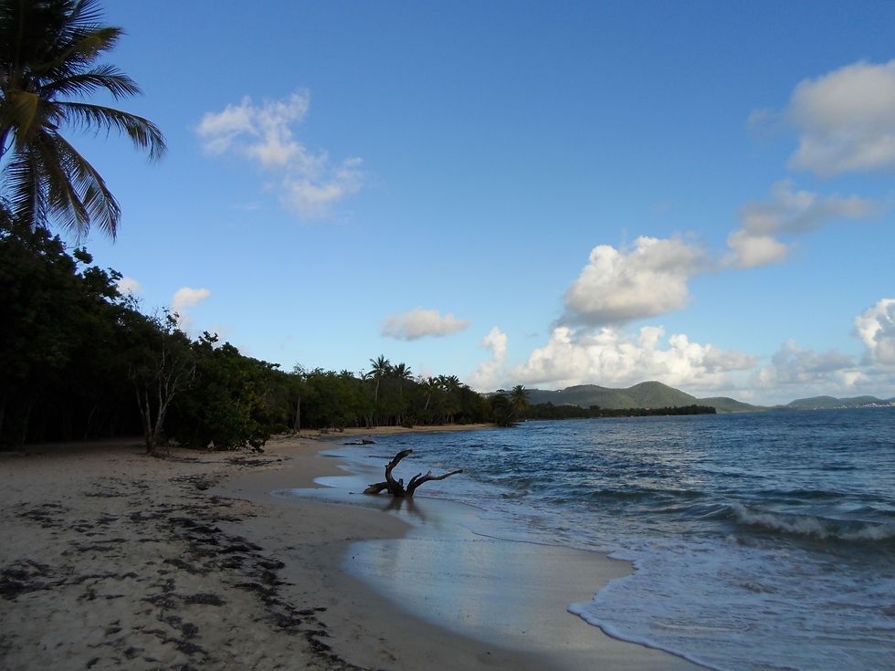 plage