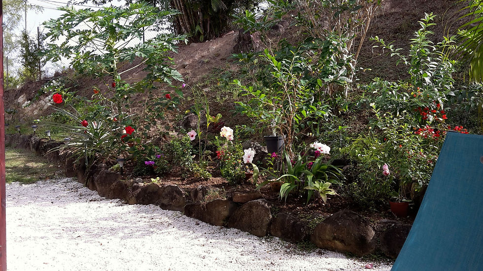 jardin