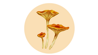 Untitled design (4)_edited.png