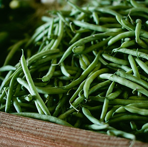 Fresh Green Beans