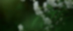 5A627BAA-82F9-4B09-8EDA-531F31A1B639_1_105_c.jpeg