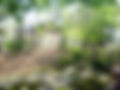 AE8680CD-00C7-44AC-AC69-557E0DD3A5BB.jpeg