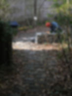 684045CC-F60A-4658-9AAE-3A6BD6608763.jpeg