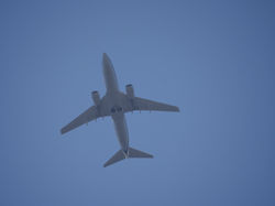 P1010777