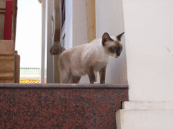 R0012738