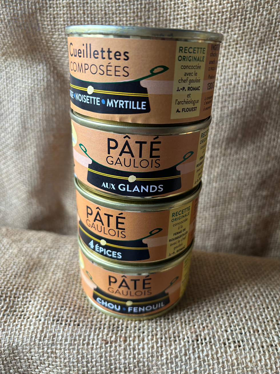 Lots 4 pâtés aux choix