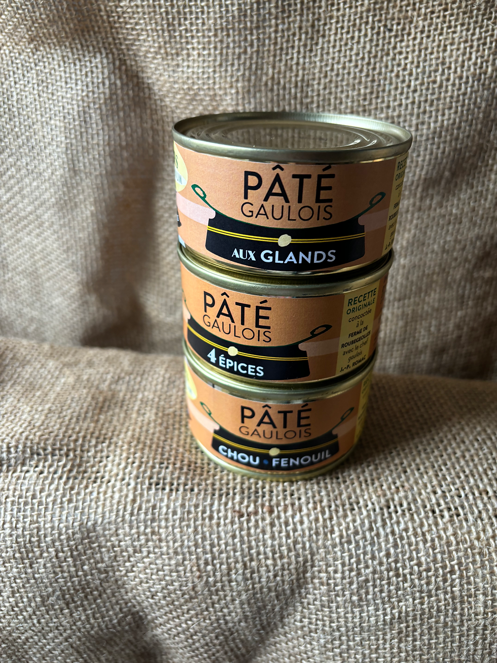 Lots 3 pâtés aux choix