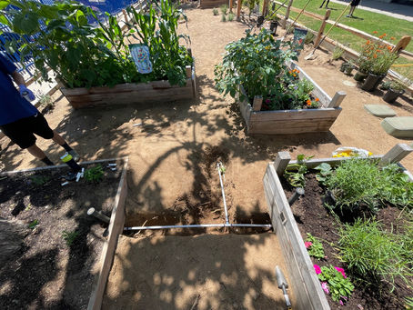 Students Create Dan Langhoff Science Garden with Brymal Plants