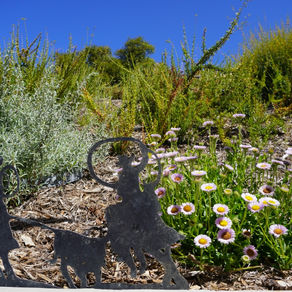 Brymal Plants cultivates sustainability at Ramona Ranch Winery