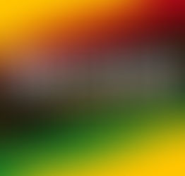 Sunday Worship for June 19, 2022