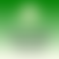 2024 Pledge Campaign