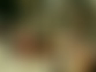 Identity & Confidence in the Flesh