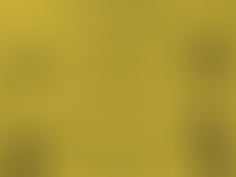 Christmas Season at St. Matthew's