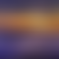 Sunday Worship on July 23, 2023