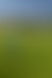 What Handicap is a Good Golfer? A Quick Look at Handicap Levels