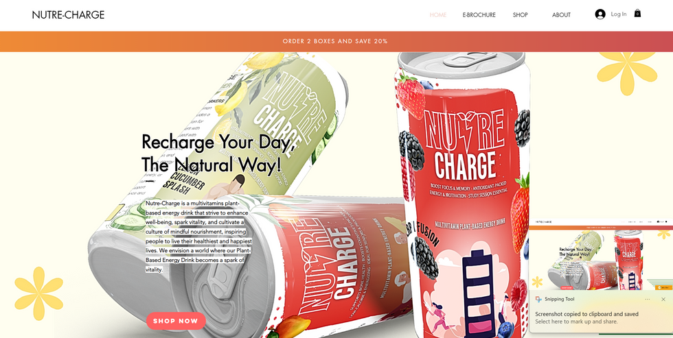 Nutre-Charge Website (An Interactive E-Brochure Business Website)