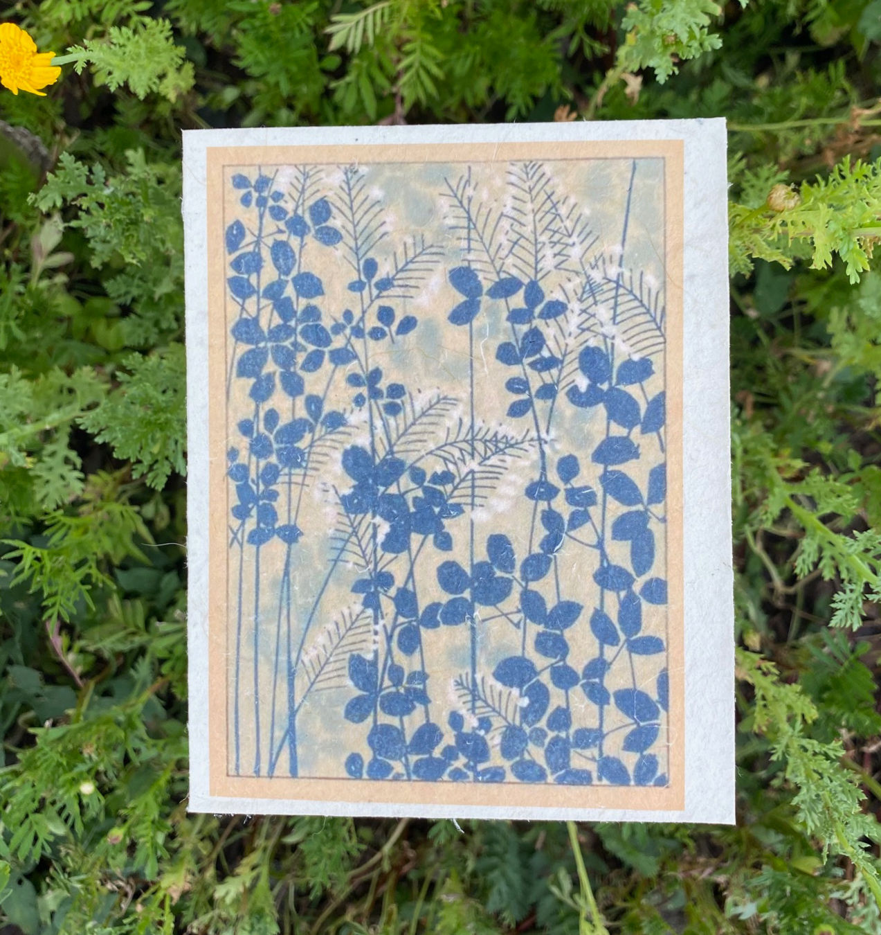 Plantable Seed Paper Card