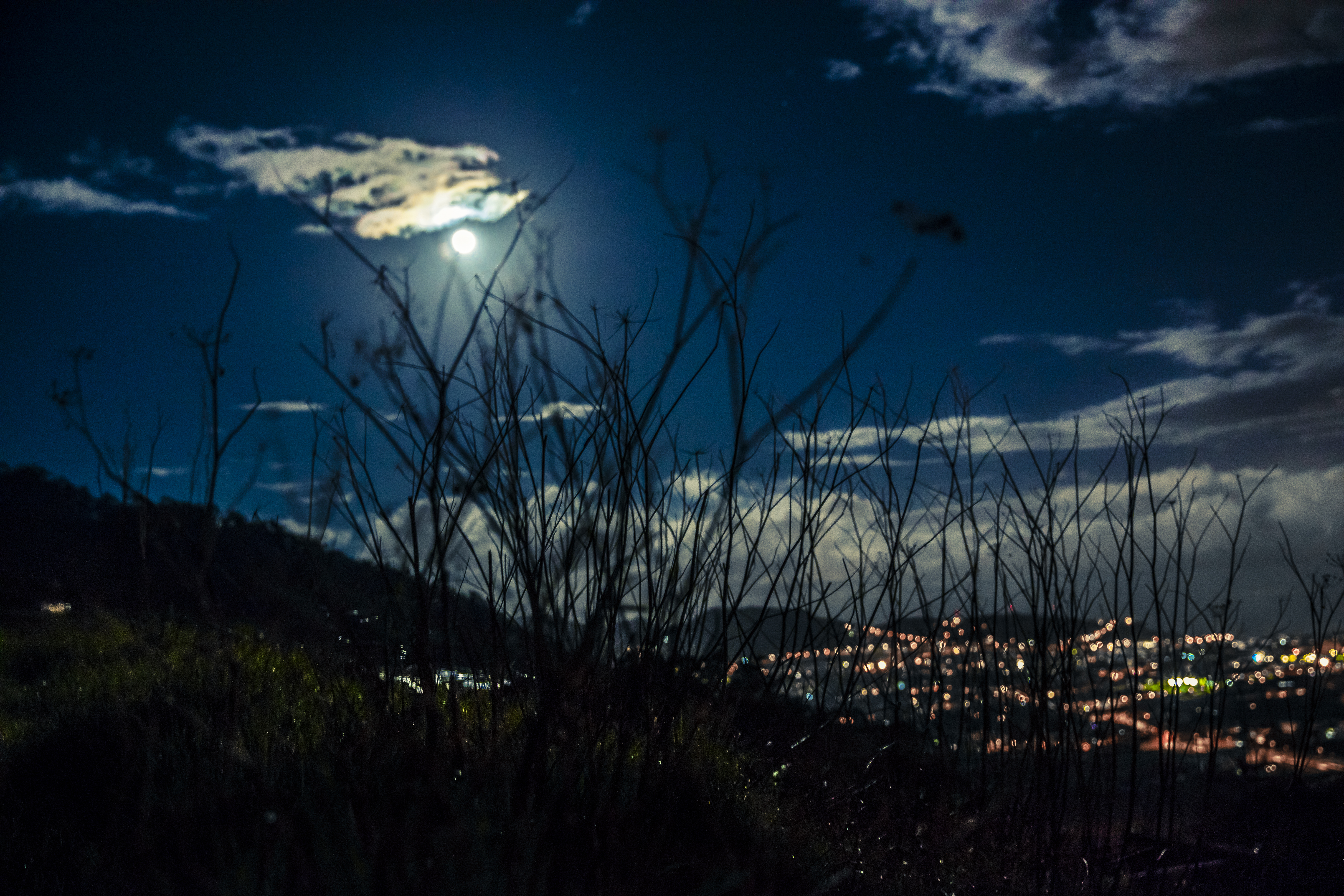 Gran luna
