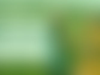 Mulheres do Mathe realizam 1º encontro em União da Vitória