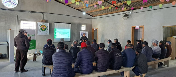 Encontro técnico orienta ações para potencializar a produção