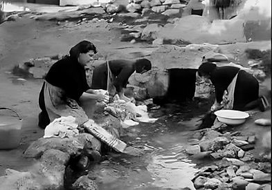 WhatsApp Image 2023-10-31 at 08.51.42.jpeg