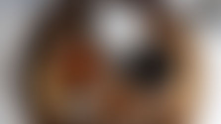 Maple Leaf Foods develops new brand Musafir to cater to South Asian taste demand