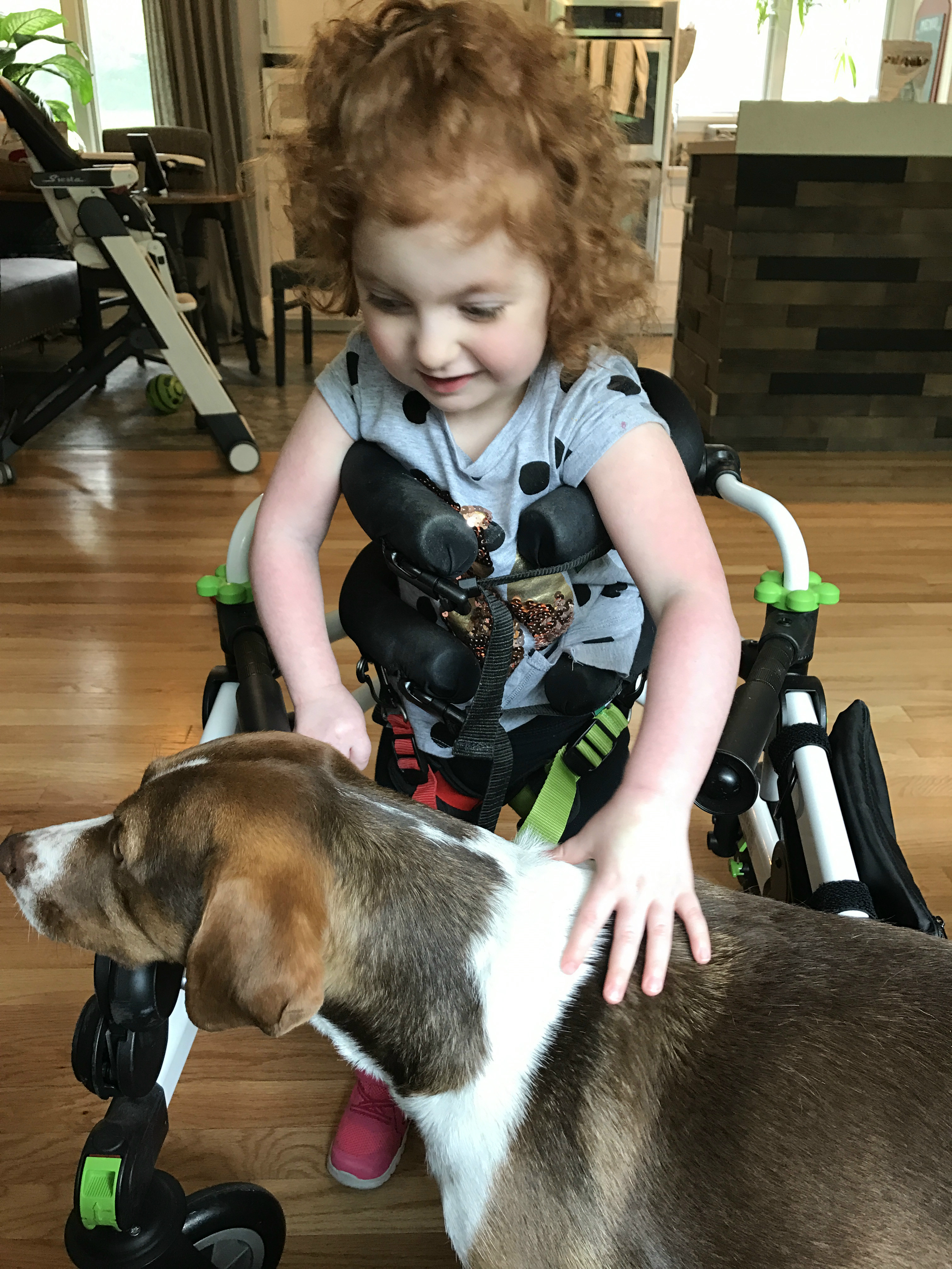 Eva the Diva Fights to Overcome Cerebral Palsy