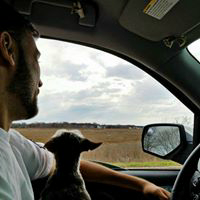 Writer: Michael Christopher