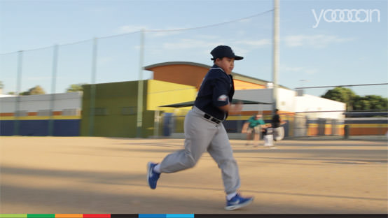 THE LOVE OF BASEBALL