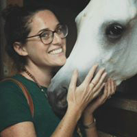 Writer: Ondine Sherman