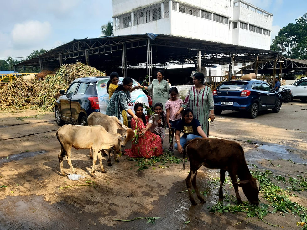 Gaushala visit