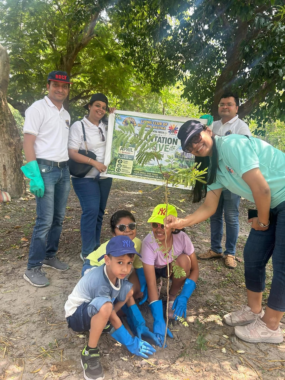 Plantation drive
