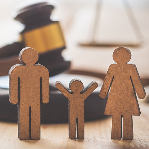Lawyer%252520Scales%252520Justice%252520-%252520Law%252520Concepts%252520on%252520Human%252520Rights