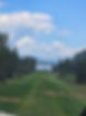 20250723_130745.jpg