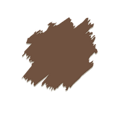 Untitled design (7)_edited.png