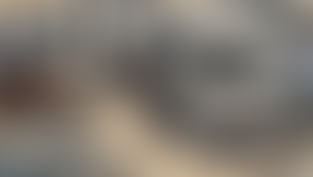 Beyond the Stereotype: What I Saw During LA County’s Homeless Count