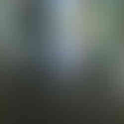 Polished concrete sarasota fl