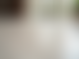 Discover Expert KJZ Flooring Services Venice Offers for Your Home and Business